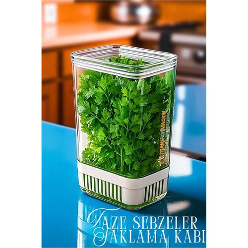 Yeşillik Saklama Kabı - Taze Yeşillik İçin - Soğan Maydanoz vb Yeşillik Saklama